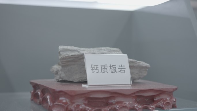 钙质板岩