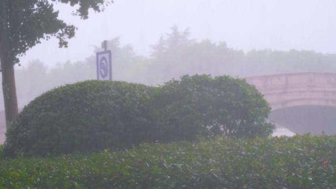 江苏苏州姑苏寒山寺江南水乡下雨季游客风景