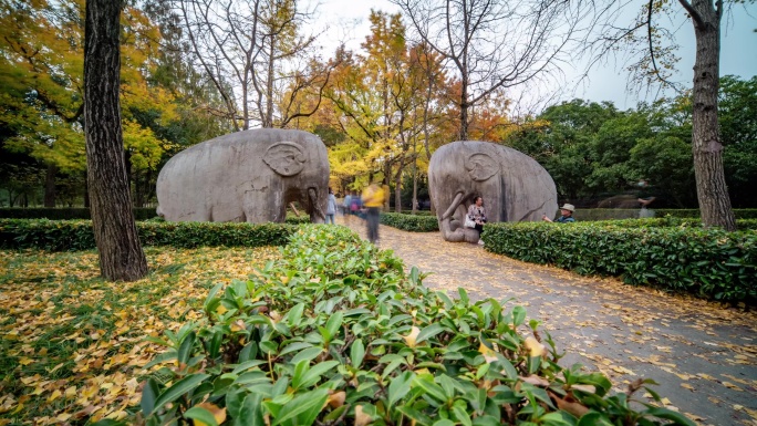 南京_南京的秋天_明孝陵景区001