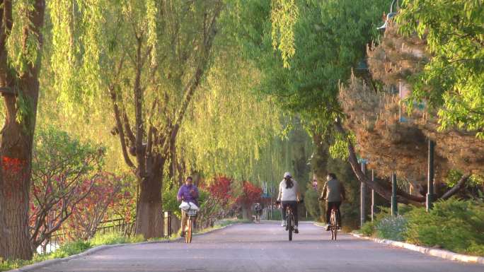 河边风光骑行跑步踏青遛弯郊游北京大运河