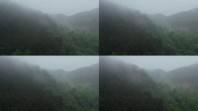 山间雾气