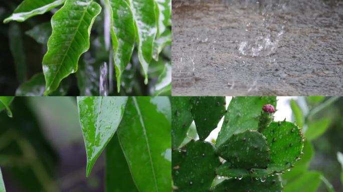 谷雨 下雨天