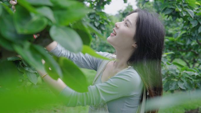 4k升格果园植物园轻松治愈悠闲生活镜头