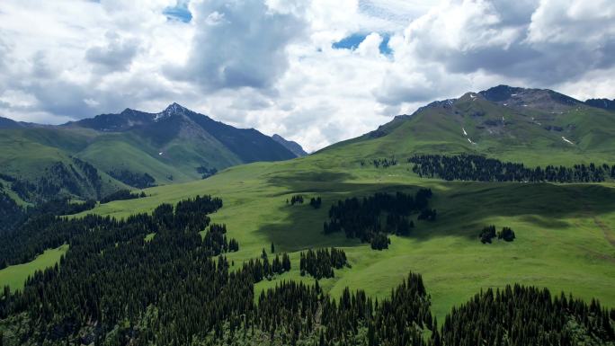 新疆伊犁尼勒克唐布拉草原