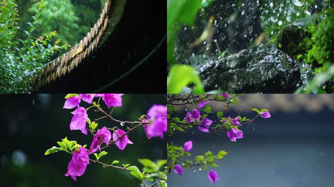 谷雨清明的雨滴