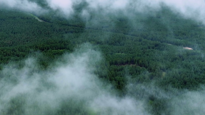 穿越云层的云海日出自然风景