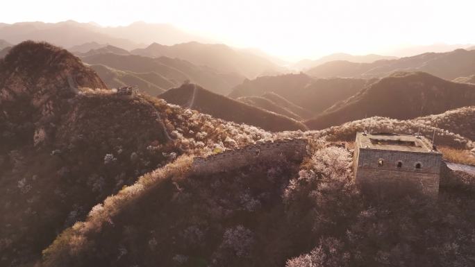 春天长城花开满山日出长城