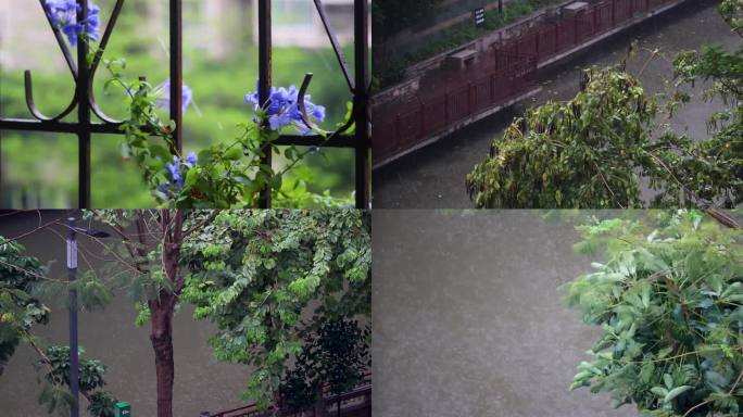 夏季暴雨时阳台摇动的盆栽和户外街道河流