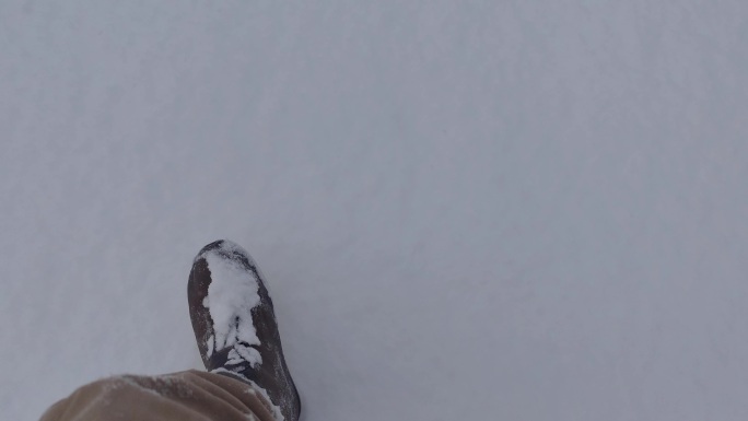 雪中漫步