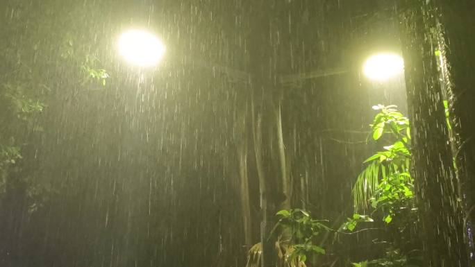 暴雨街巷雨滴街巷城市夜风吹绿叶绿树摇摆