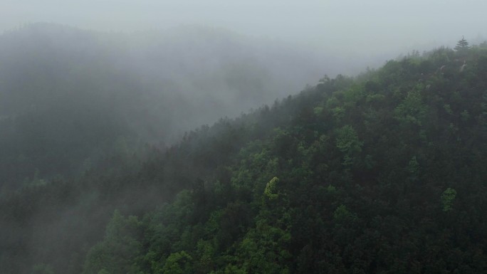 大山 高山云海