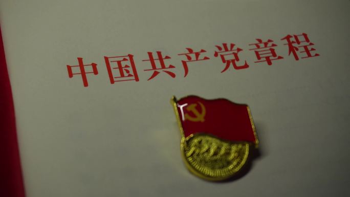 【原创4K】入党宣誓党章党建党徽红色教育