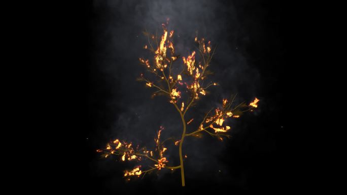 1款篝火树木着火（火灾）-带通道4K