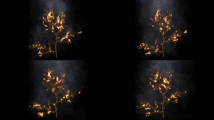 1款篝火树木着火（火灾）-带通道4K