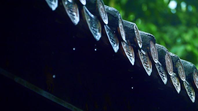 谷雨清明的雨滴