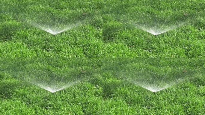 绿色草坪洒水喷水灌溉草坪养护