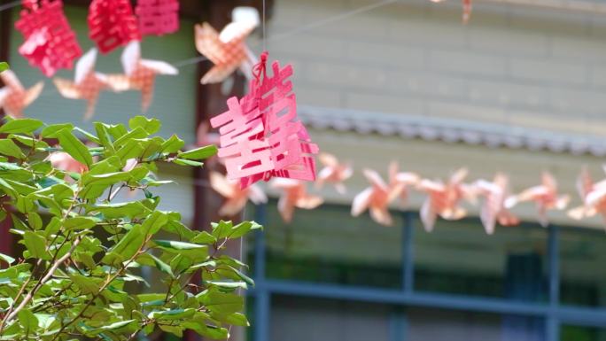 农村结婚户外纸风车休闲大自然风景风光视频