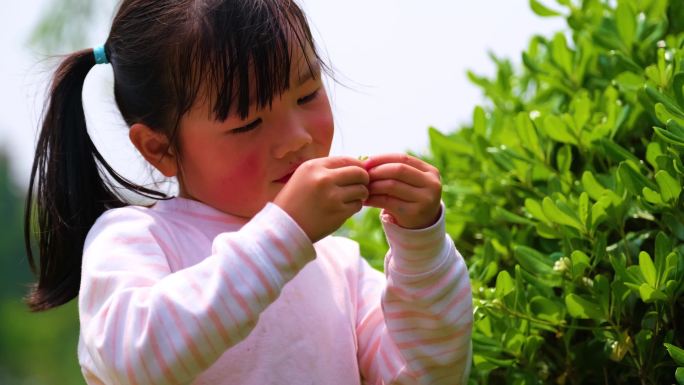 公园小孩子小女孩女童儿童打手势游玩踏青亲