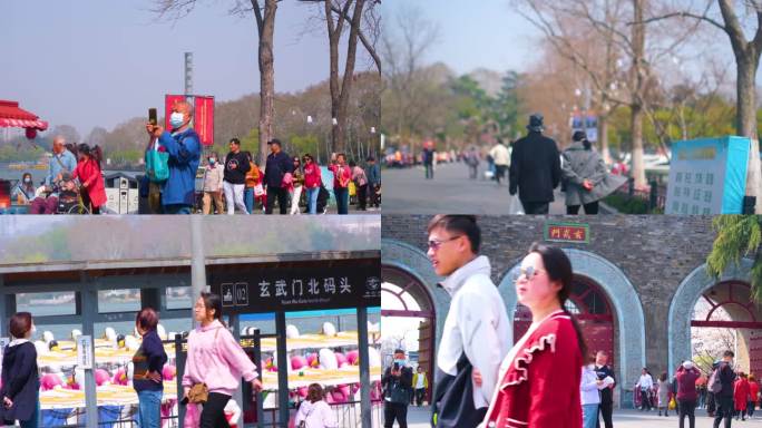 南京玄武区玄武门玄武湖景区游客观赏花朵踏