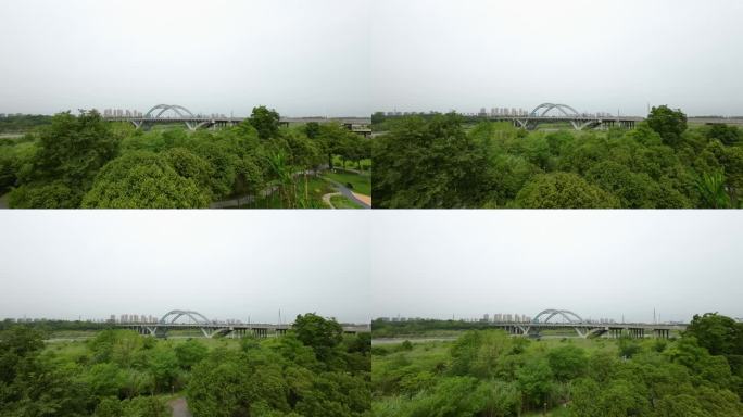 金马河大桥远景4K