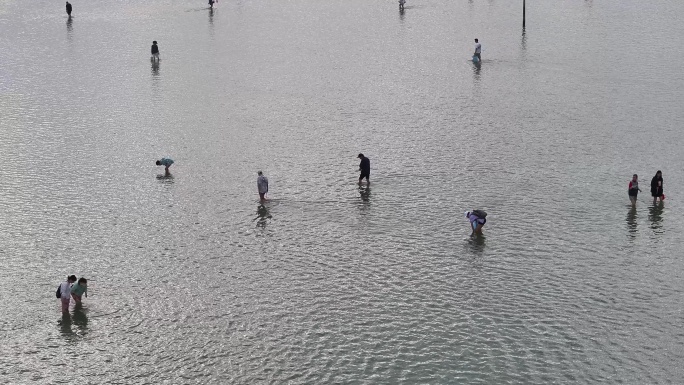 4K-Log-航拍海南陵水南湾猴岛滩涂