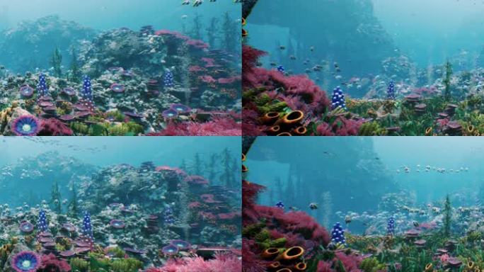 8K超宽屏海底世界