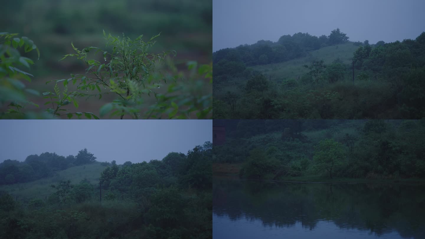 雨后的房