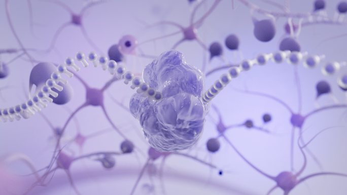 神经元DNA链条信息