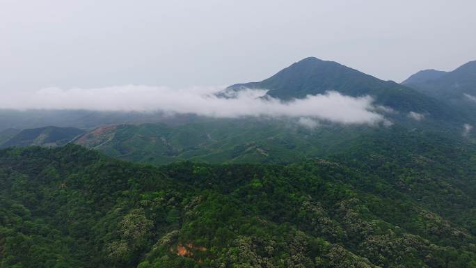 森林高山雾气迷漫航拍03