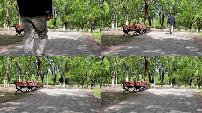 夏日公园小道一男子走路背影视频素材