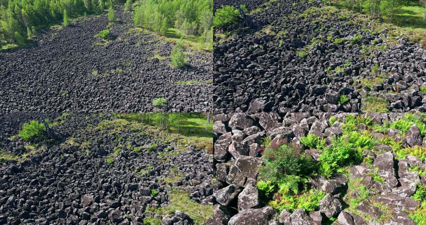 柴河火山熔岩石海