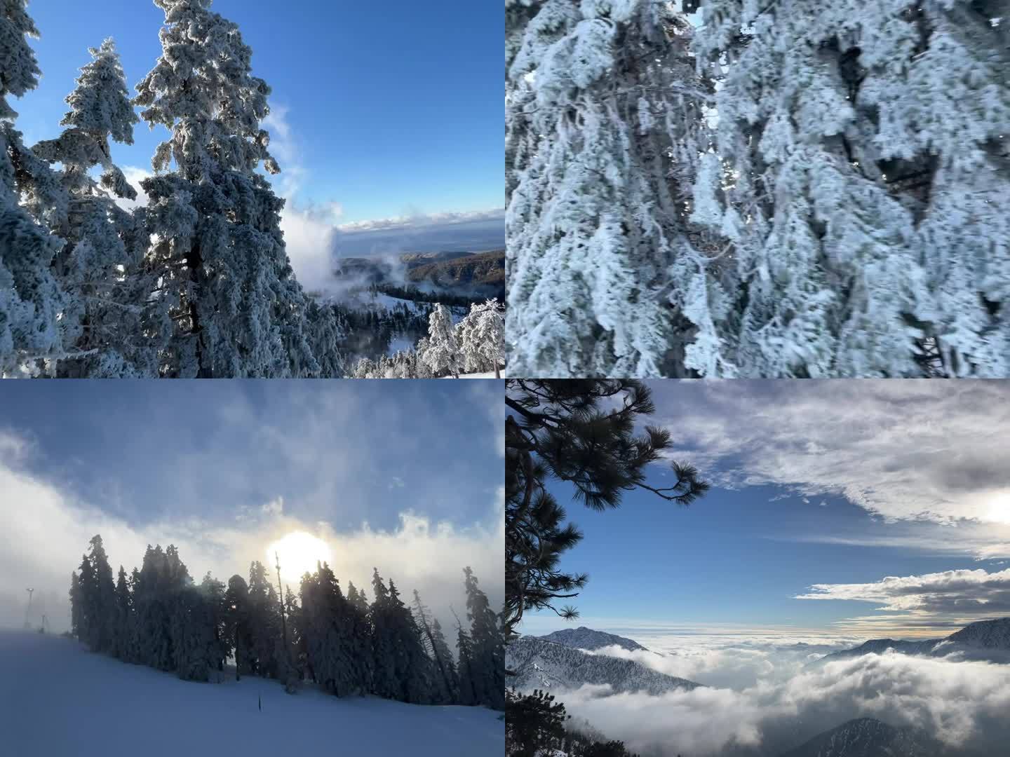 雪山雪松云海夕阳 总有你需要的素材 横版