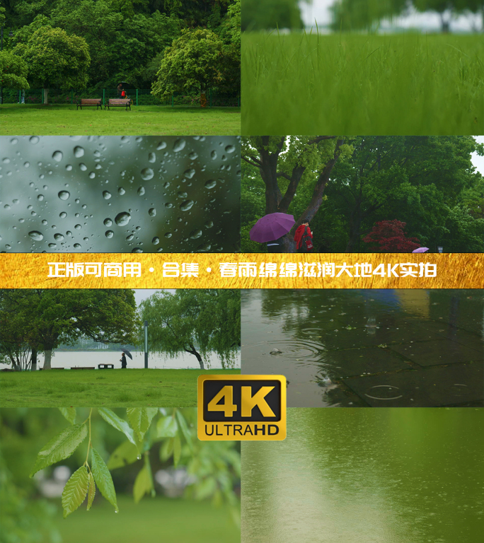 【合集】唯美春雨 谷雨时节 治愈绿色