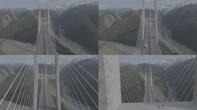 新疆 伊犁 赛里木湖 果子沟大桥 大桥