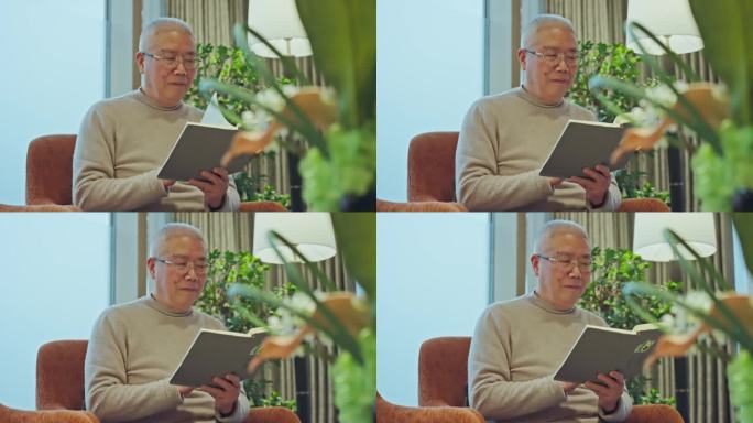 老人看书阅读