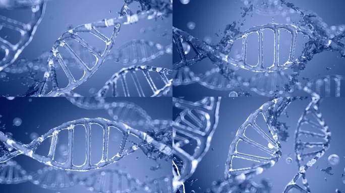 DNA链基因细胞修复重组