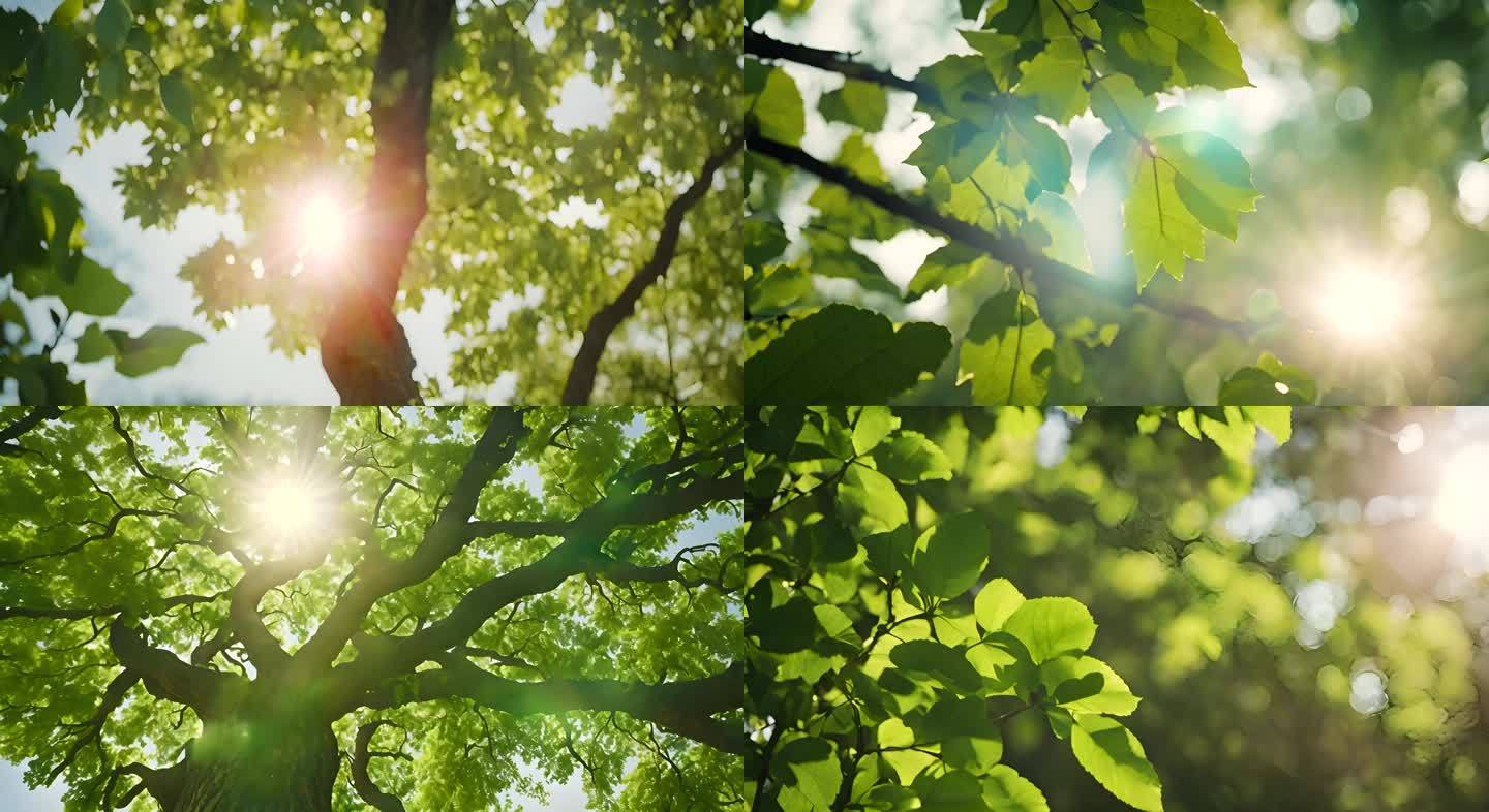 立夏树林树叶光影阳光AI视频