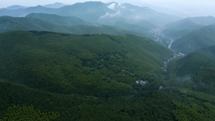 云雾缭绕 清晨 山林 竹林 云雾航拍4K