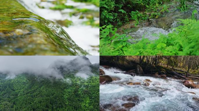 水资源水源河流泉水溪流大自然森林