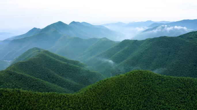 航拍4K 青山 云雾 竹林 竹海 空镜