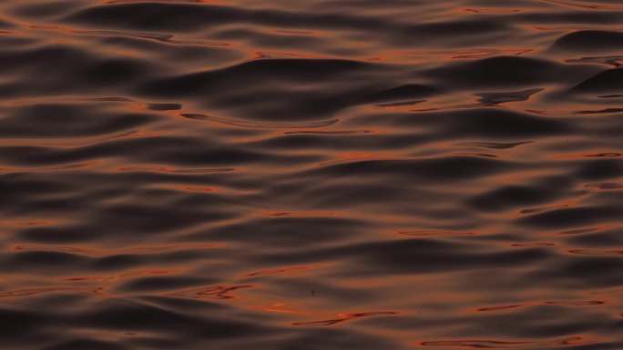 浮光掠影 湖面 水流动波光粼粼的水面夕阳