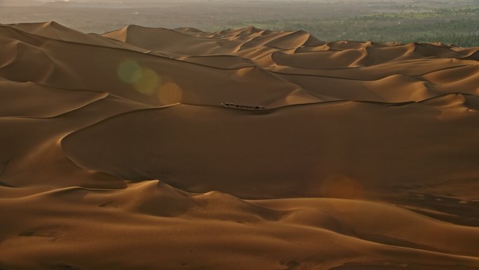 新疆直升机航拍沙漠骆驼