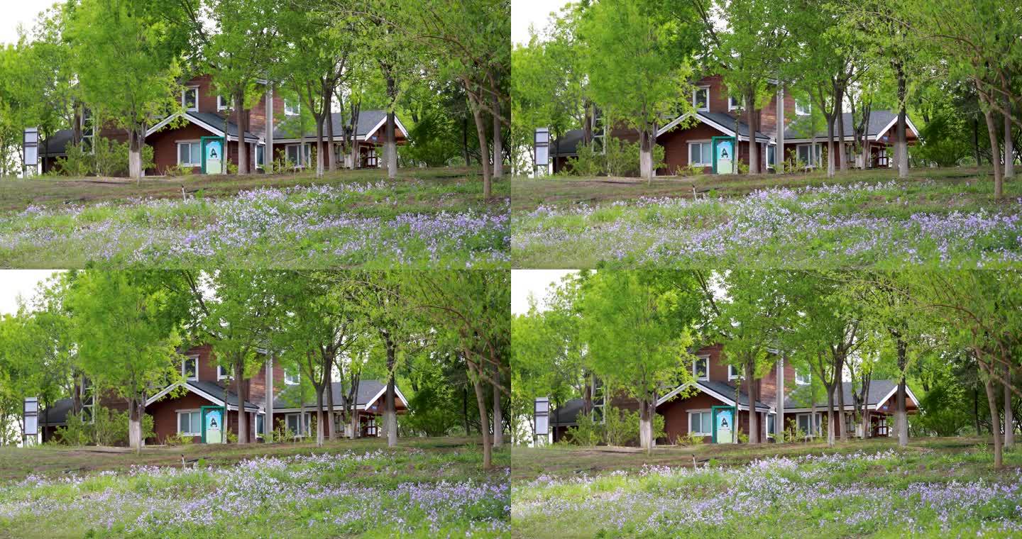 园区别墅绿植花朵视频素材