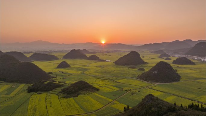 油菜花海日落