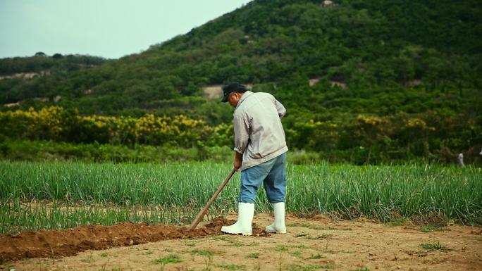 【原创】农民劳作 锄地种菜 养鸡养羊