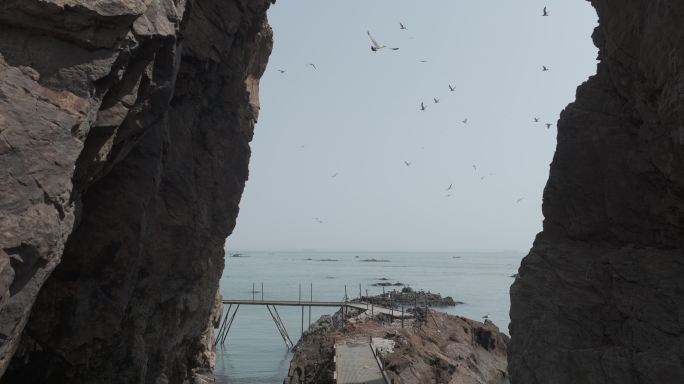 航拍穿越山东荣成海驴岛海蚀洞海岛海鸥风景