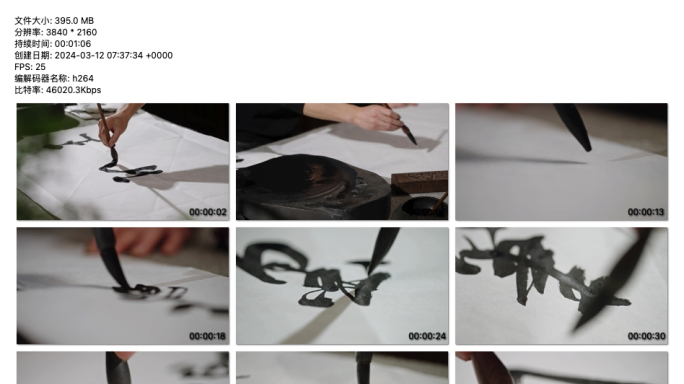 《墨舞宣纸：书法艺术与传统墨制过程》