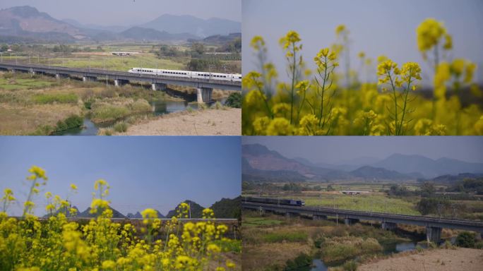 高铁 动车 火车 列车 行驶 春天