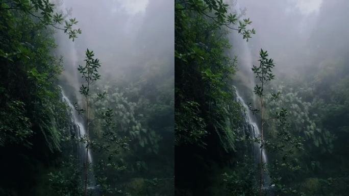 山涧小瀑布起雾风景