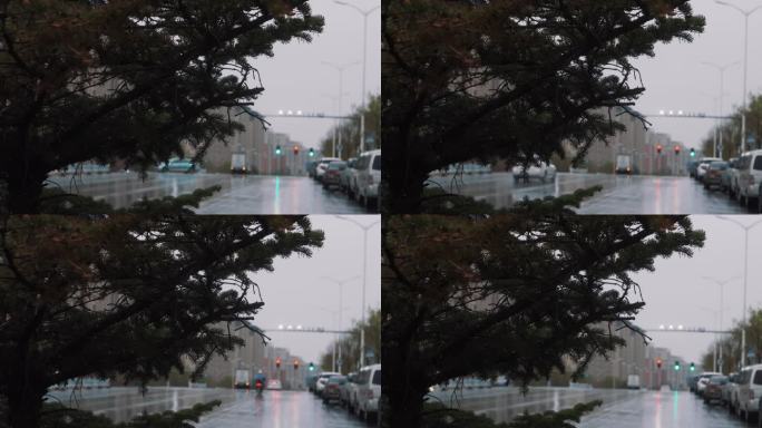 下雨天树上雨滴滴落车流穿梭唯美意境空镜